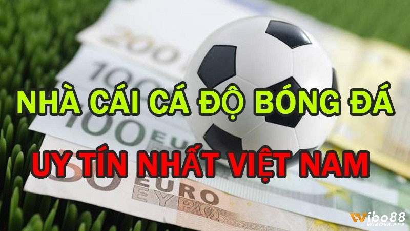 Giới thiệu tổng quan nhà cái bong88-com ibet.