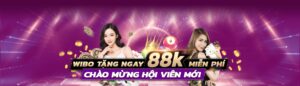 Web đánh bài online Wibo88: Sân chơi cho anh em thỏa đam mê