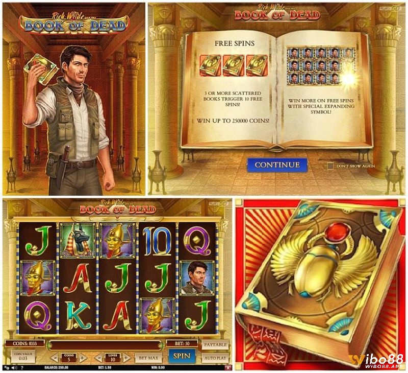 Cuốn sách cổ chính là wild wild slots của Book of Dead