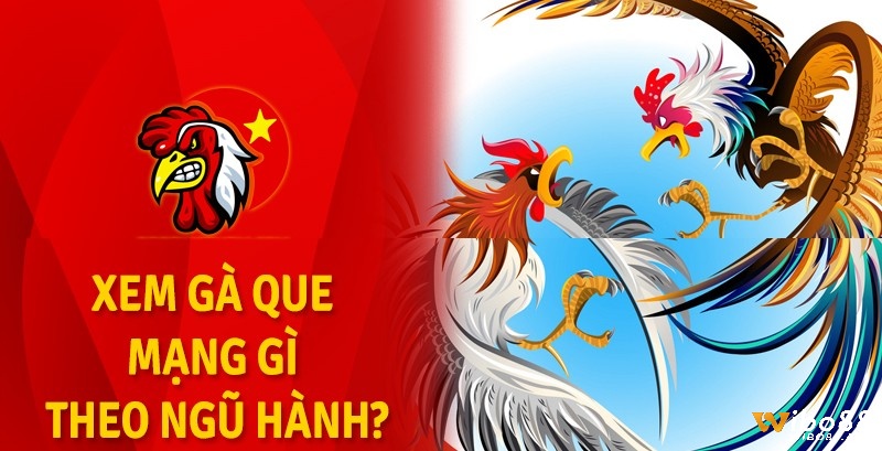 Các mạng gà que - gà que mạng gì chi tiết