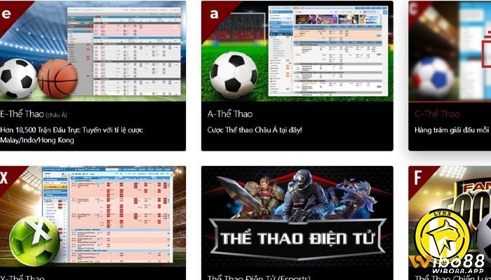 Top ty le online cược hấp dẫn trên cổng Wibo88