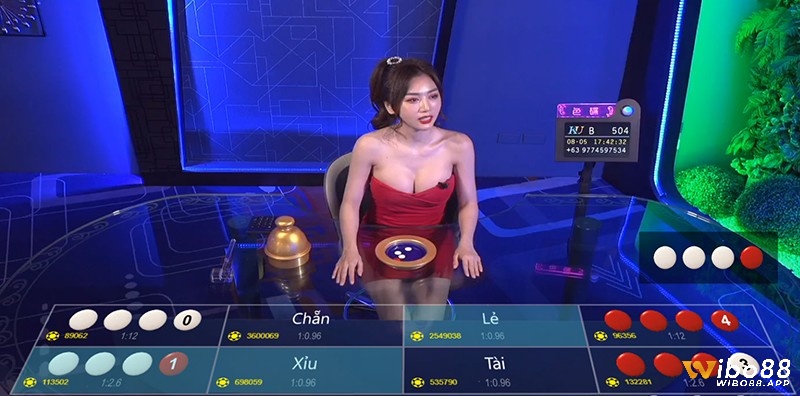 Các cửa cược trong xóc đĩa tại Kubet