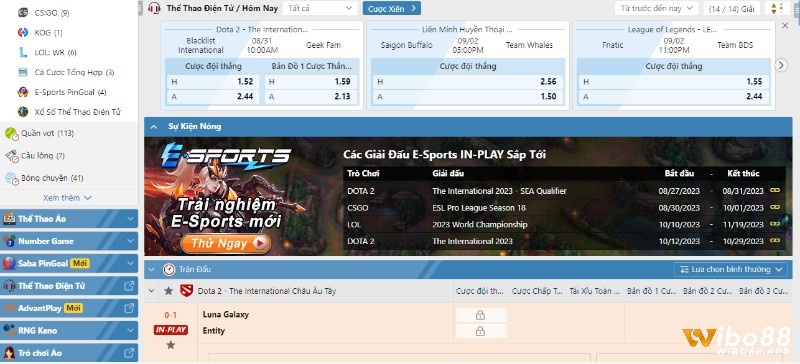 Cá cược thể thao Esport Wibo88 rất đơn giản