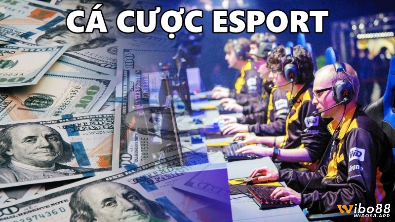 Cược Esport: Hình thức giải trí được ưa chuộng trong thể thao