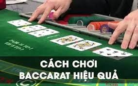 Hướng dẫn chơi baccarat chi tiết nhất từ cơ bản đến nâng cao