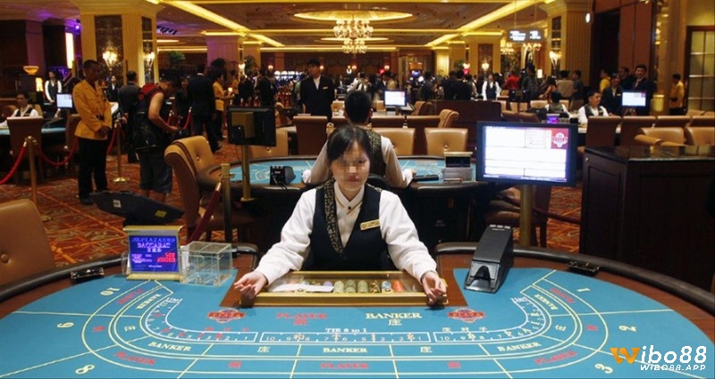 Quy mô sòng bài (Casino) chuyên nghiệp khá lớn với nhiều loại bài khác nhau