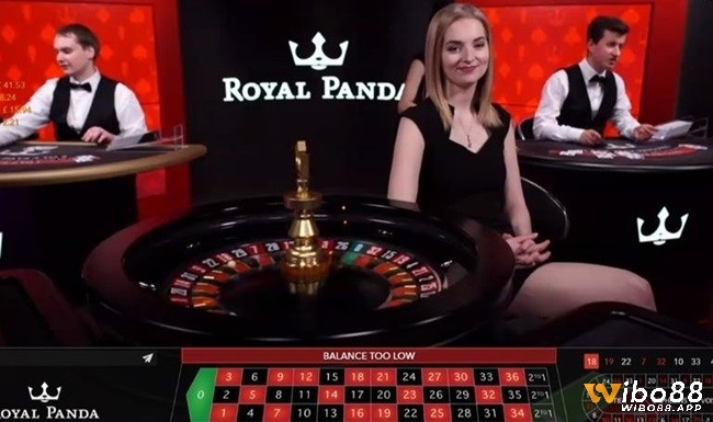 Tương tác với Dealer nóng bóng và những người chơi khác tại sảnh Live Casino