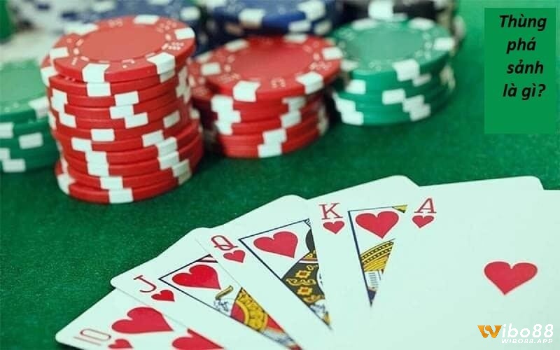 Cùng Wibo88 tìm hiểu khái niệm sảnh và thùng phá sảnh poker