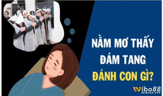 Chiêm bao thấy đám ma đánh con gì hiệu quả