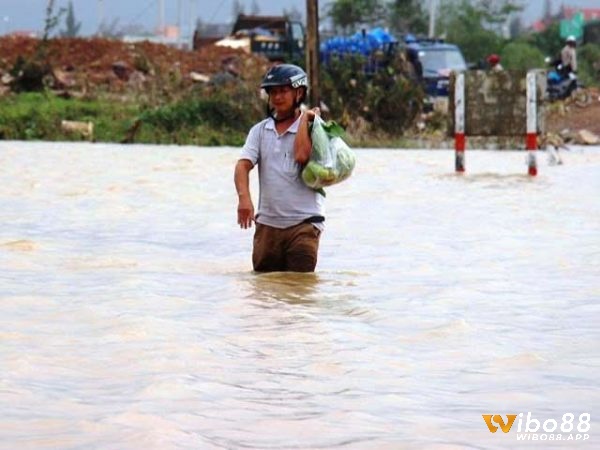 Dựa vào tình tiết mơ để có được điềm báo 