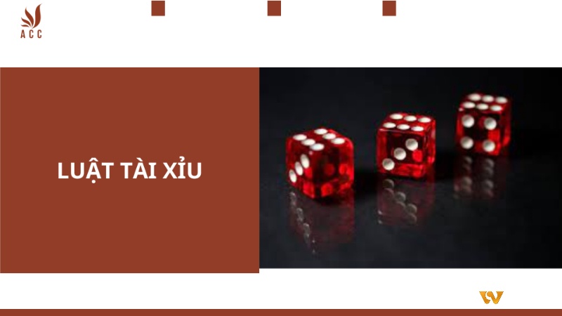 Luật chơi game xoc dia cơ bản cho người mới bắt đầu