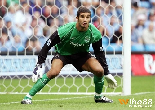 David James là thủ môn được đánh giá cao với tài năng vượt trội