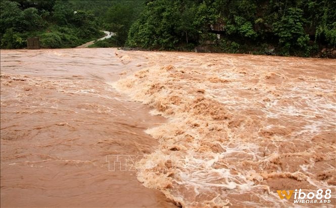 Bạn chiêm bao thấy nước lũ lên thì đánh số mấy: thường là 67 hoặc 68