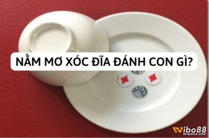 Nằm mơ đánh xóc đĩa đánh con gì? là điềm báo gì?