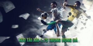 Kèo tài xỉu 1.75 trong trò chơi cá độ bóng đá online