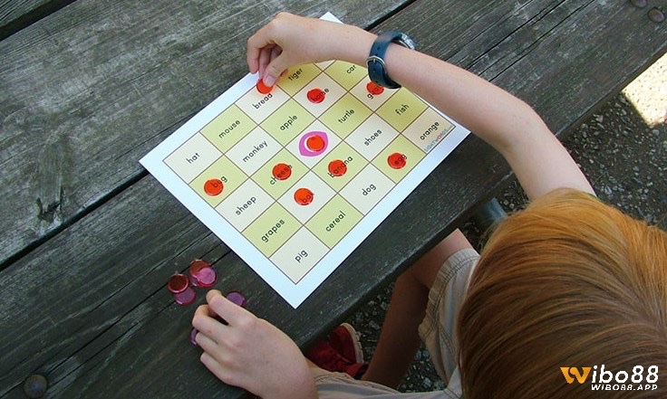 Khám phá các luật chơi bingo cơ bản dành cho người mới