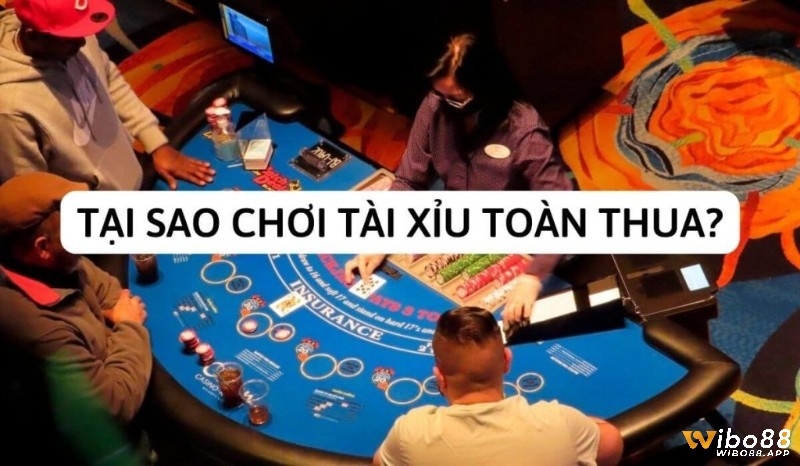 Khám phá tại sao chơi tài xỉu toàn thua cùng Wibo88.site nhé!