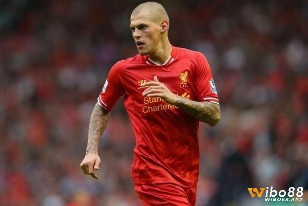 Martin Škrtel là một cầu thủ Slovakia sinh năm 1984 từng là hậu vệ hay nhất Liverpool