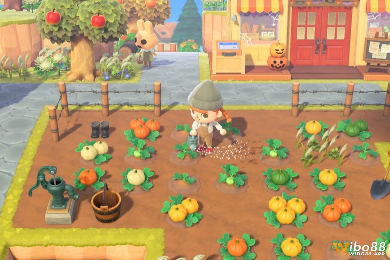 Xây đảo trong animal crossing dễ hơn với mẹo chọn vị trí