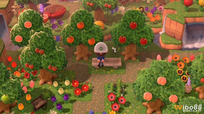 Chọn đảo và sống cùng thú trong animal crossing